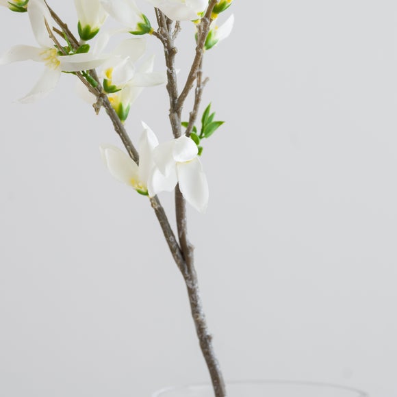 Carousel navigation image position 6 of 6