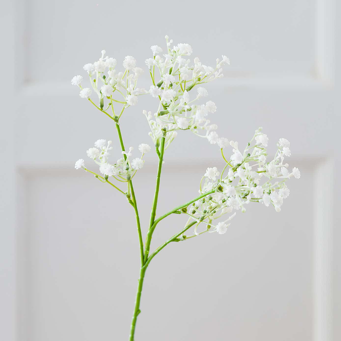 Carousel zoom image position 3 of 5