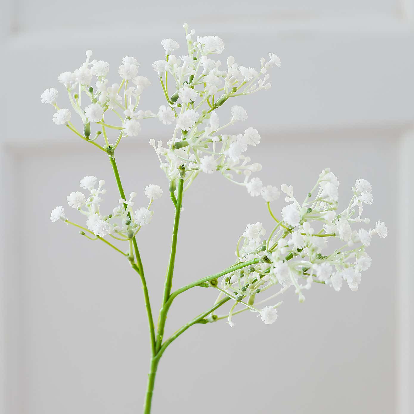 Carousel zoom image position 5 of 5