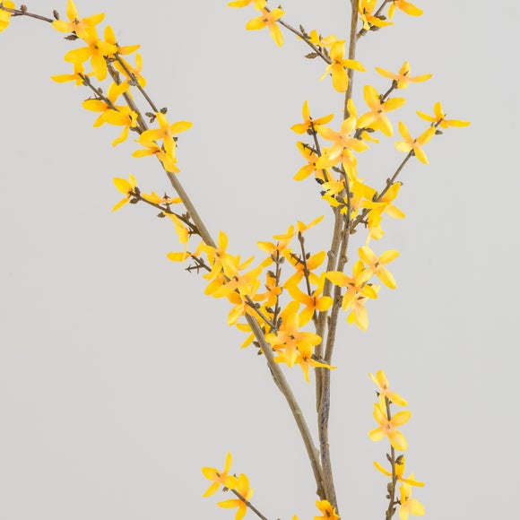 Carousel navigation image position 4 of 5