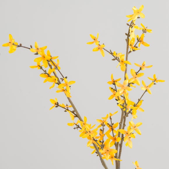 Carousel navigation image position 5 of 5