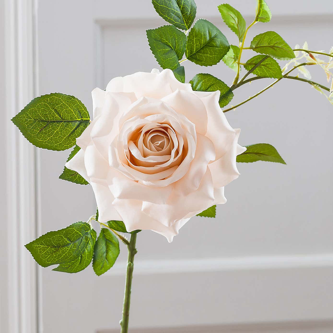 Carousel zoom image position 4 of 4