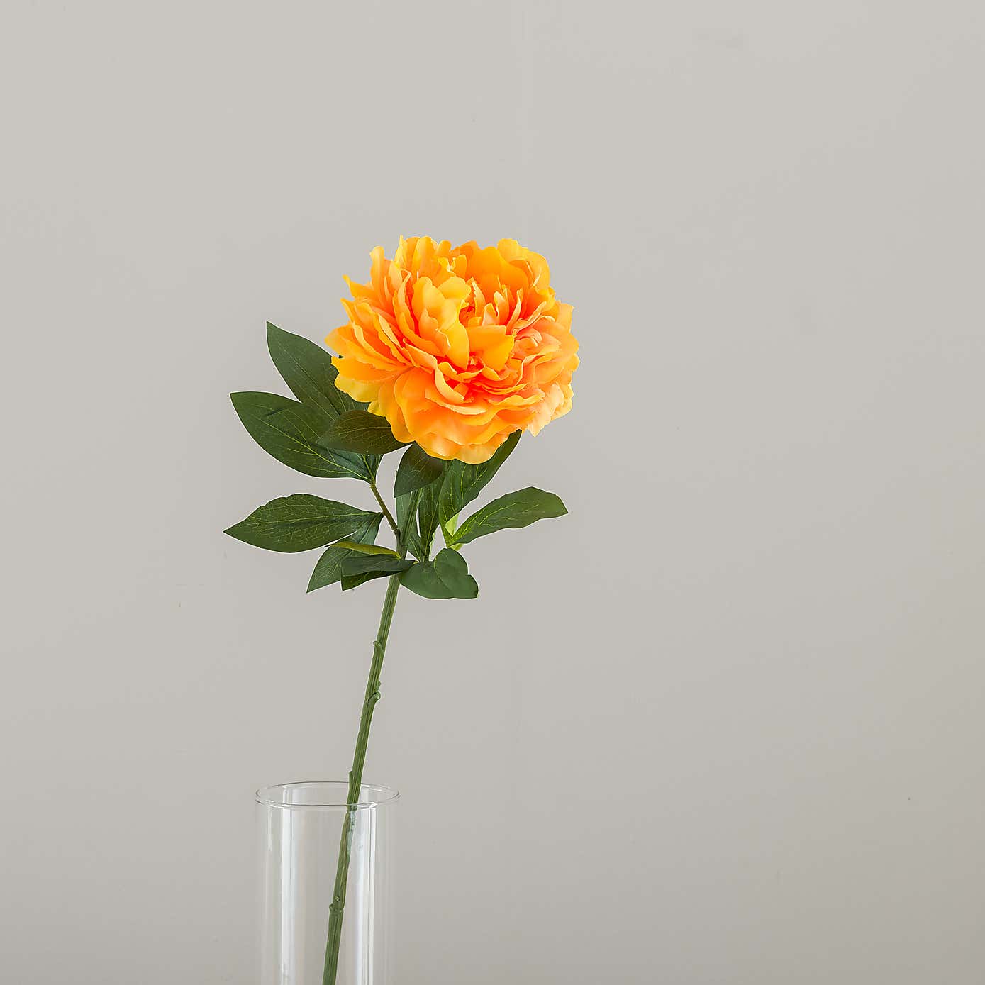 Carousel zoom image position 3 of 5