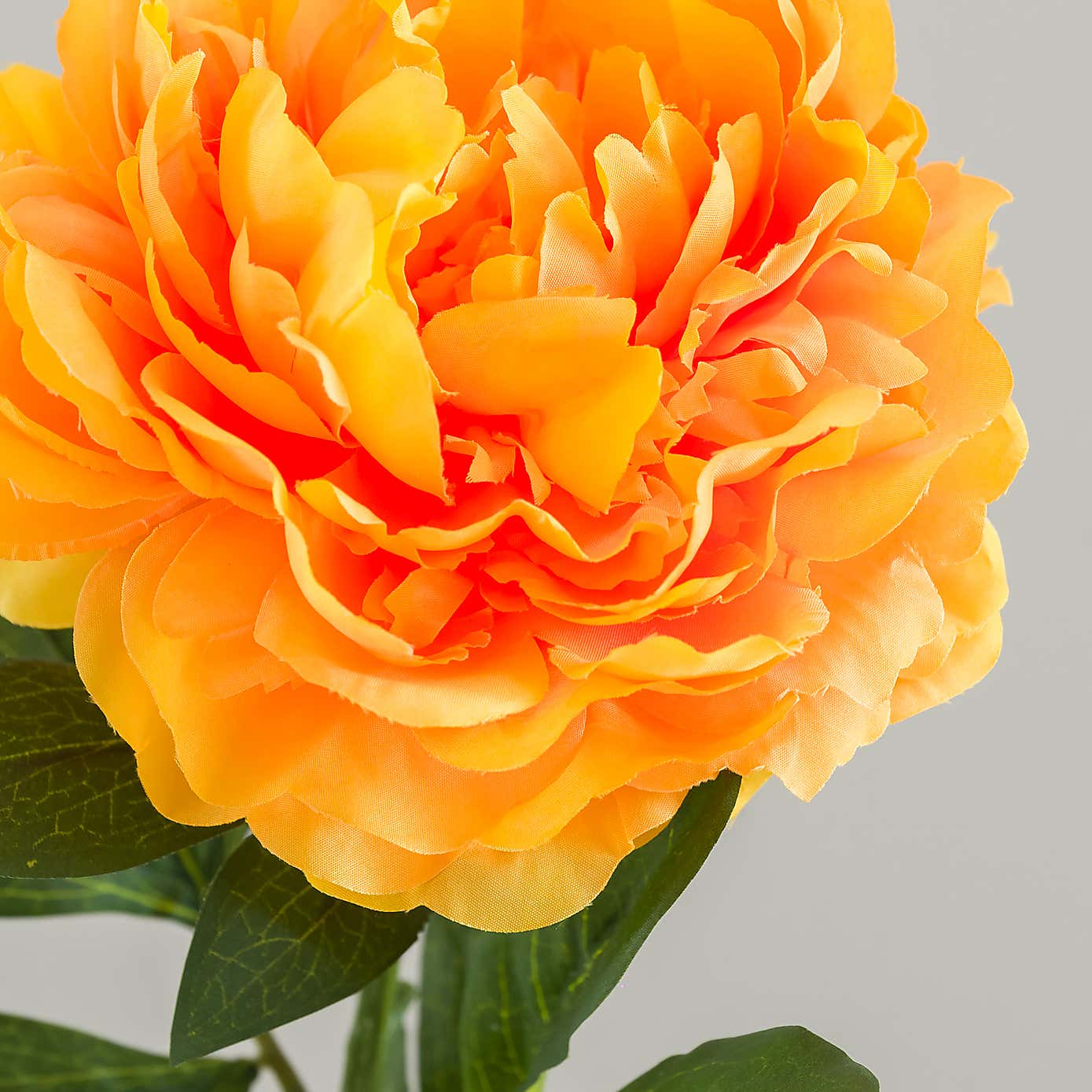 Carousel zoom image position 5 of 5