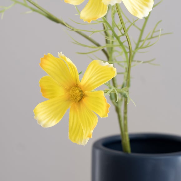 Carousel navigation image position 5 of 5