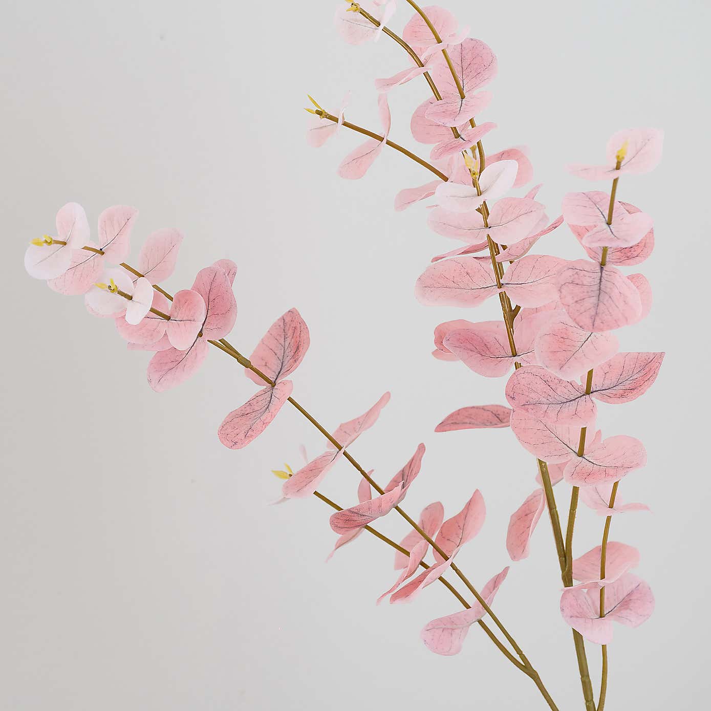 Carousel zoom image position 3 of 4