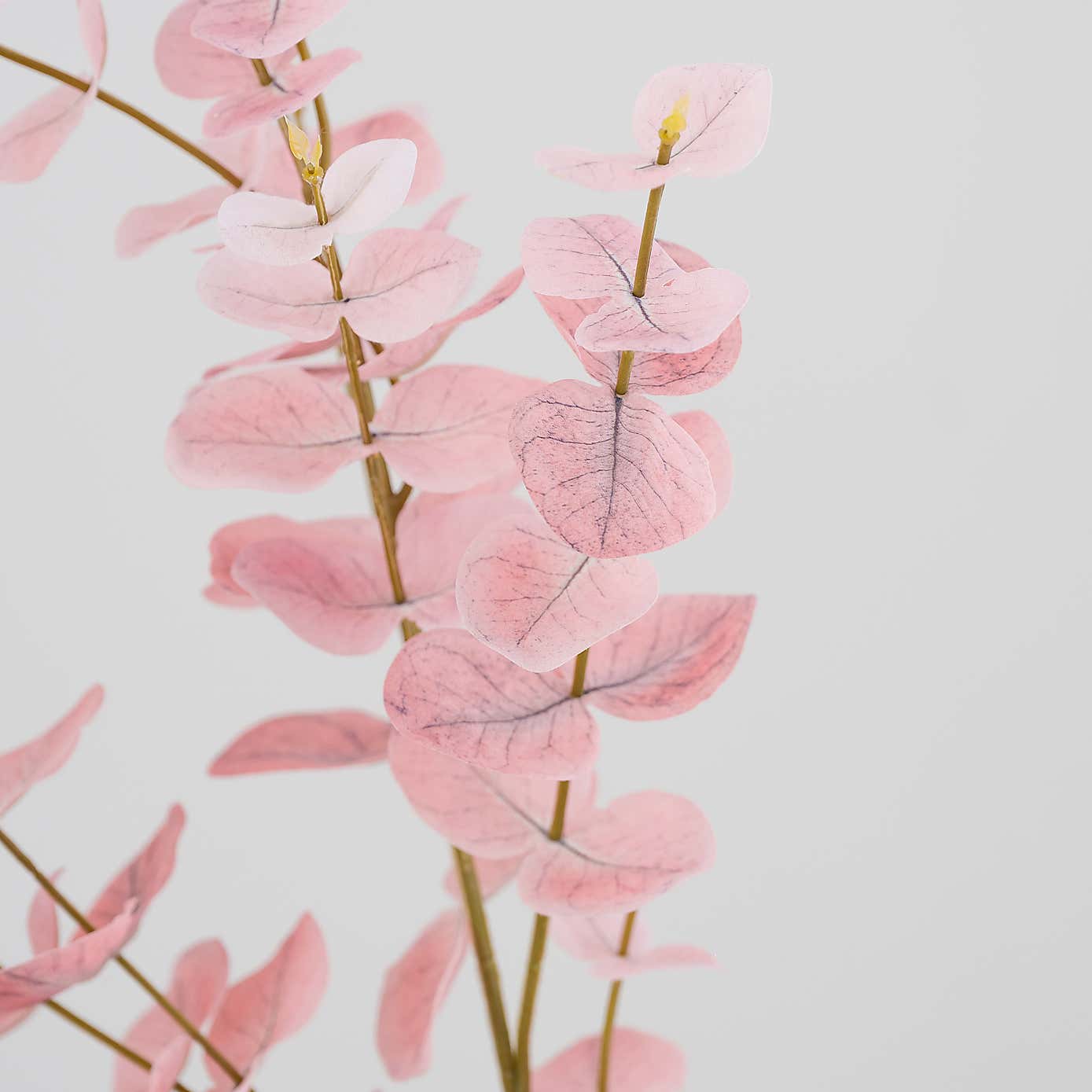 Carousel zoom image position 4 of 4