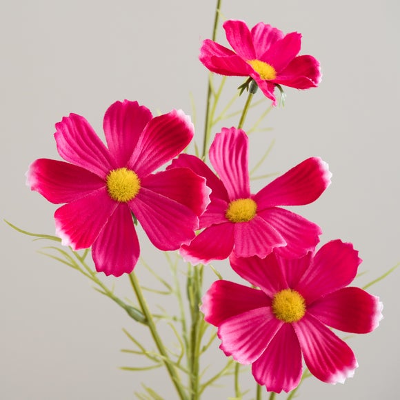 Carousel navigation image position 4 of 5