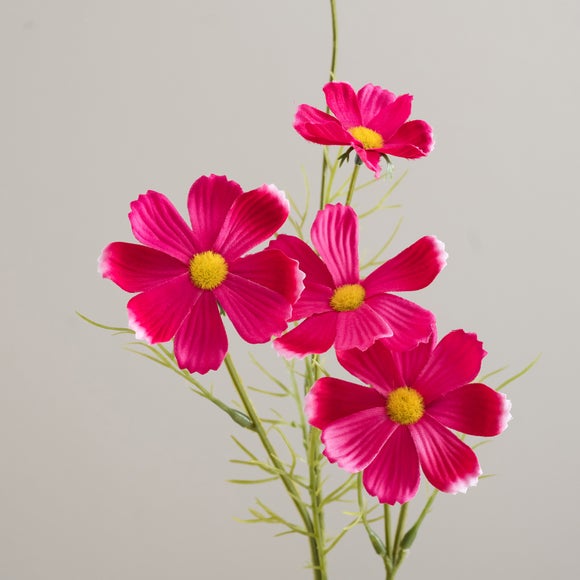 Carousel navigation image position 5 of 5