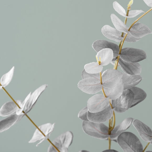 Carousel navigation image position 5 of 6