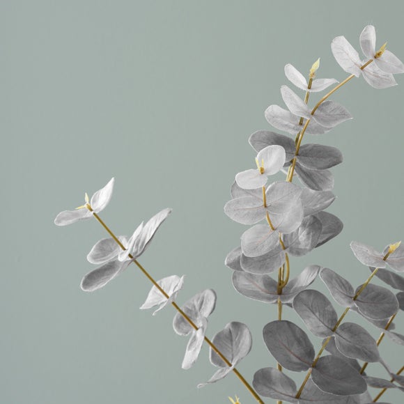 Carousel navigation image position 6 of 6