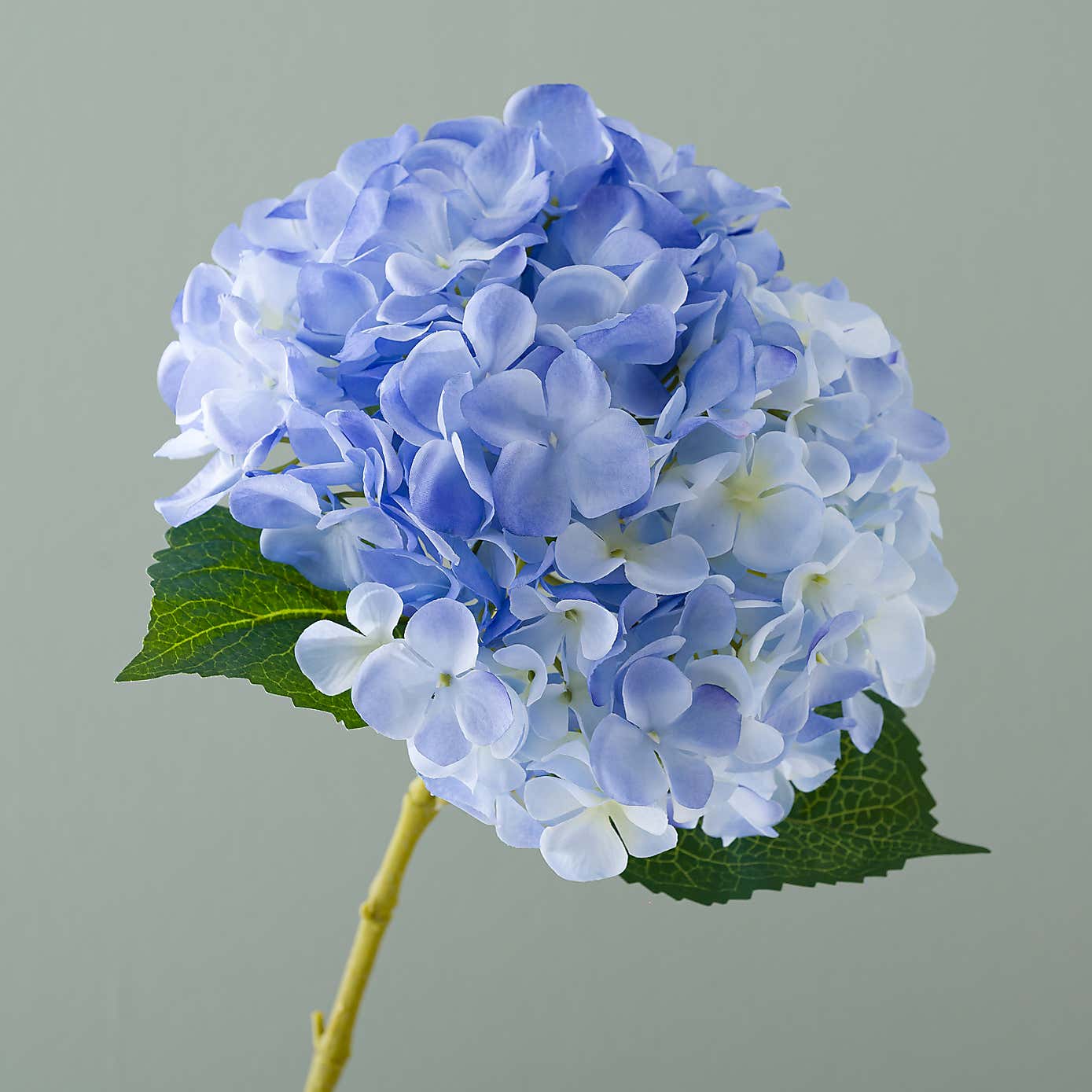 Carousel zoom image position 3 of 4