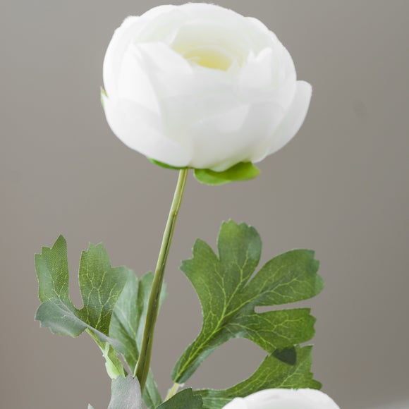 Carousel navigation image position 4 of 5