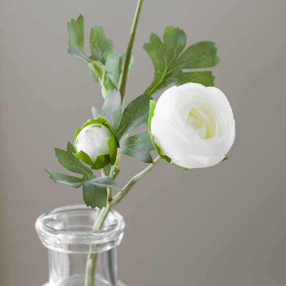 Carousel navigation image position 5 of 5