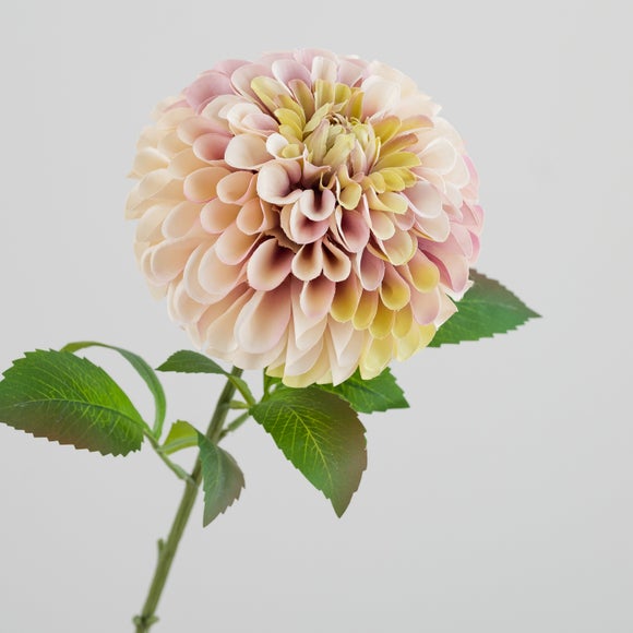 Carousel navigation image position 3 of 5