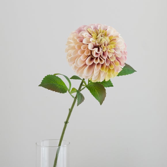 Carousel navigation image position 4 of 5