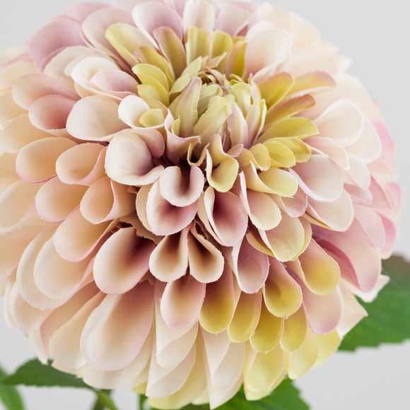 Carousel navigation image position 5 of 5