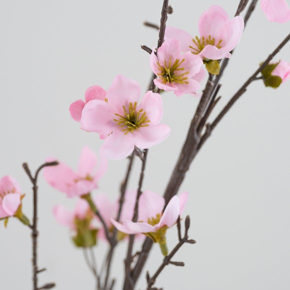 Carousel navigation image position 4 of 4