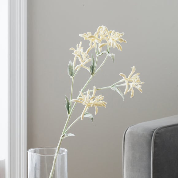 Carousel navigation image position 2 of 4