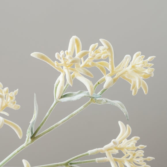 Carousel navigation image position 4 of 4