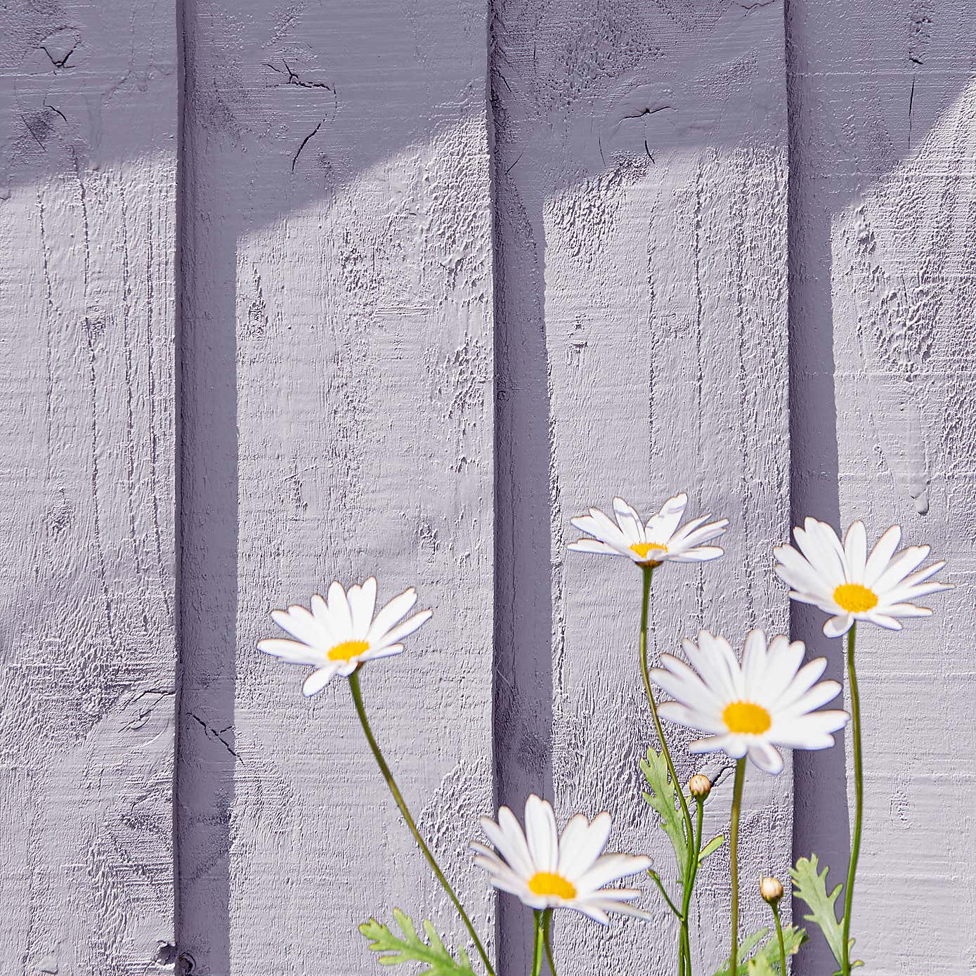 Carousel zoom image position 6 of 7