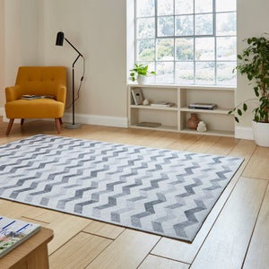 Coral H1059 Rug