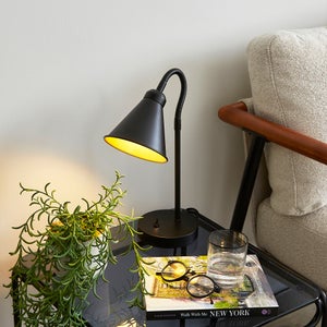 Newton Industrial Goose Neck Adjustable Table Lamp