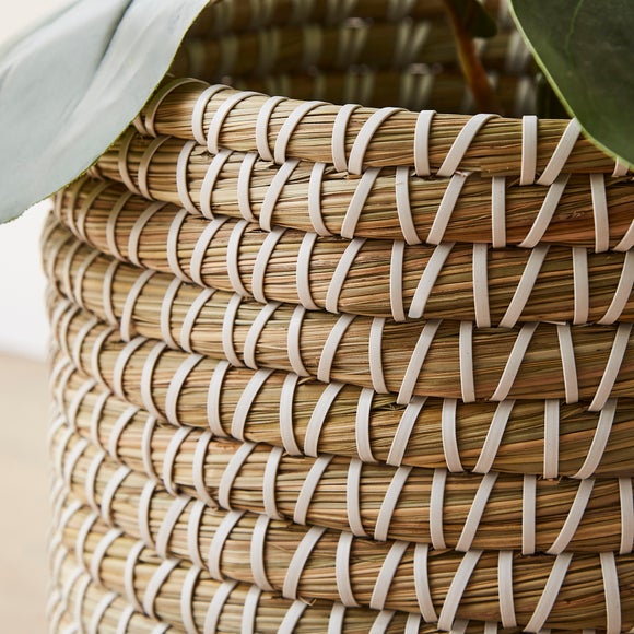 Carousel navigation image position 2 of 3