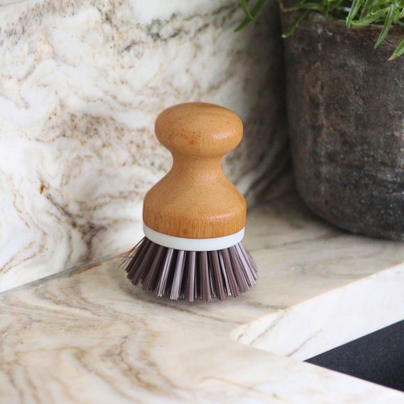 Wooden Handle Palm Dish Brush