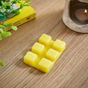 Set Of 6 Pineapple & Pomelo Wax Melts