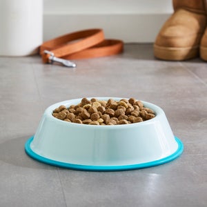 Metal Pet Bowl