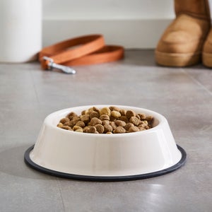 Metal Pet Bowl