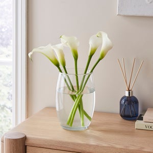 Curved Glass Bullet Vase