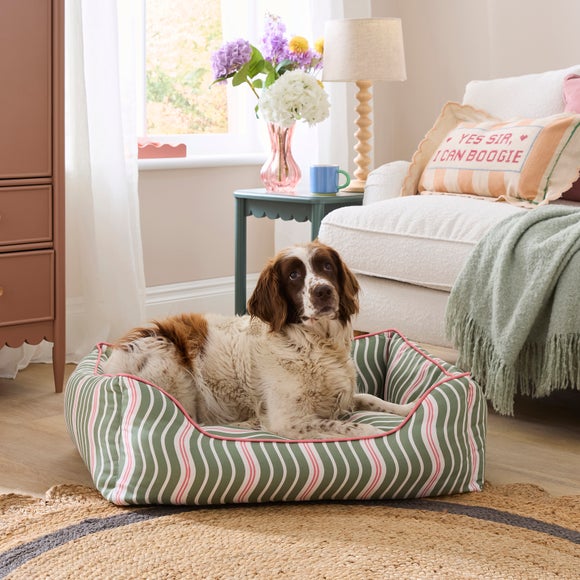 Wave Box Dog Bed