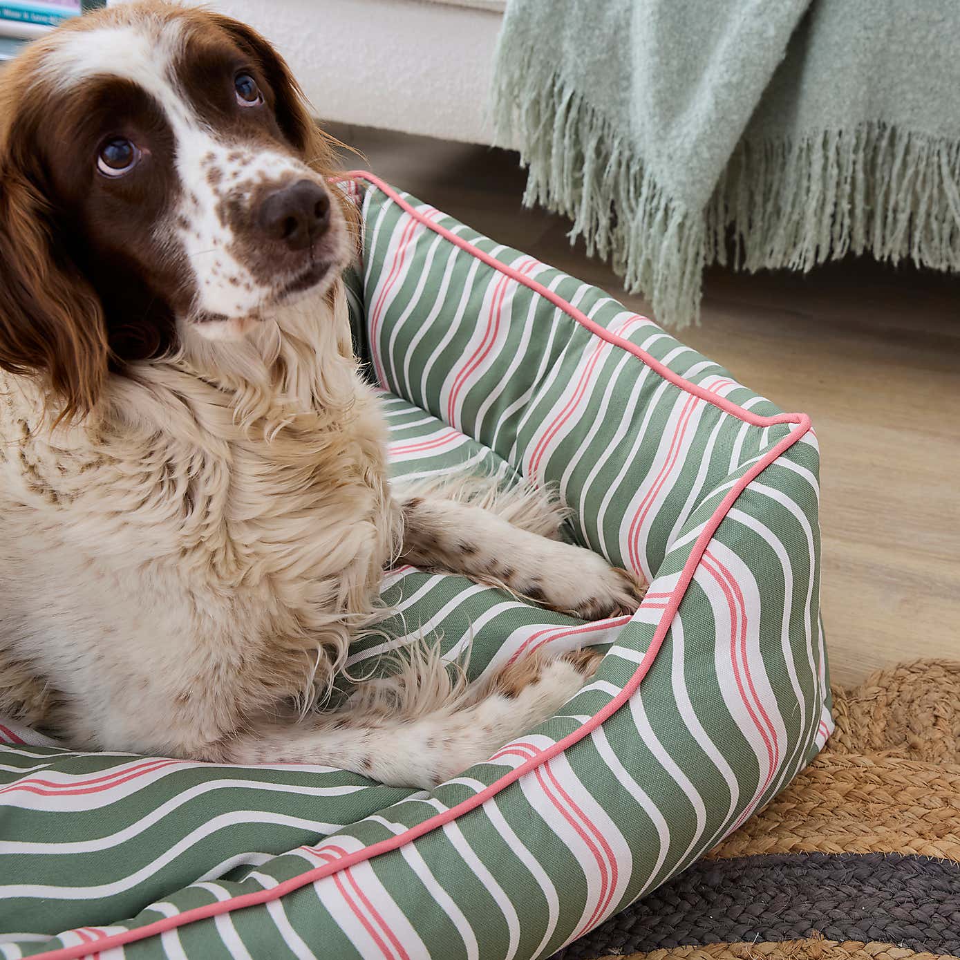 Carousel zoom image position 2 of 5