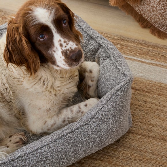 Carousel navigation image position 2 of 5