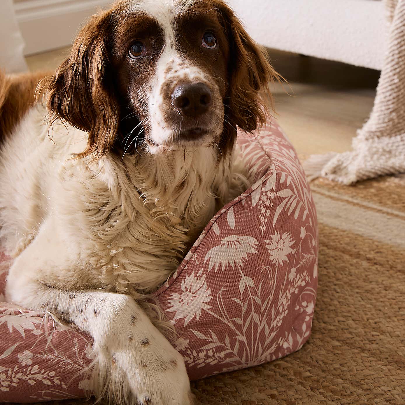 Carousel zoom image position 2 of 5