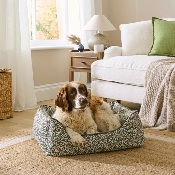 Chartwell Leaf Box Dog Bed