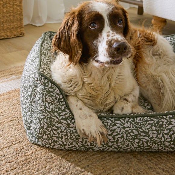 Carousel navigation image position 2 of 5