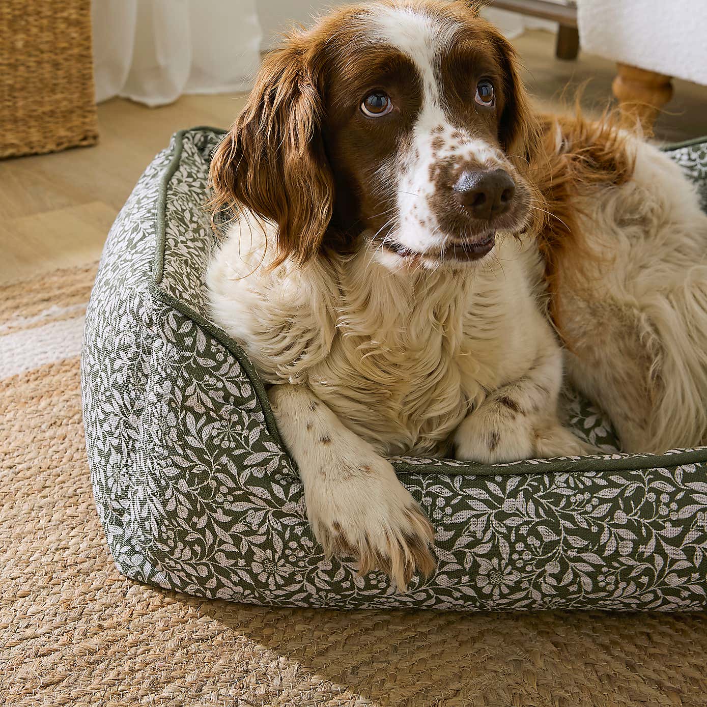 Carousel zoom image position 2 of 5
