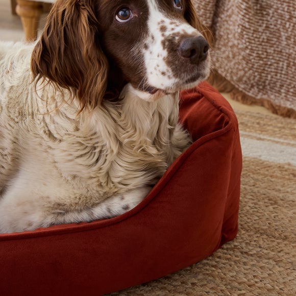 Carousel navigation image position 2 of 5