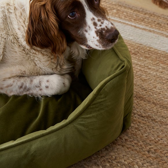 Carousel navigation image position 2 of 5