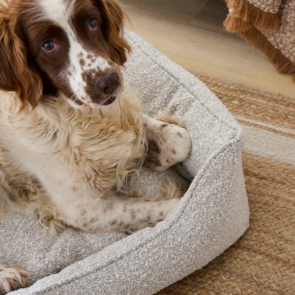 Carousel navigation image position 2 of 5