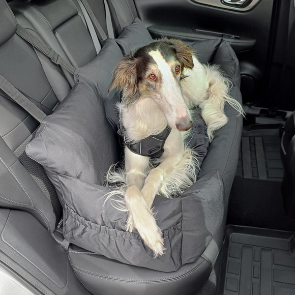 Carousel navigation image position 3 of 6