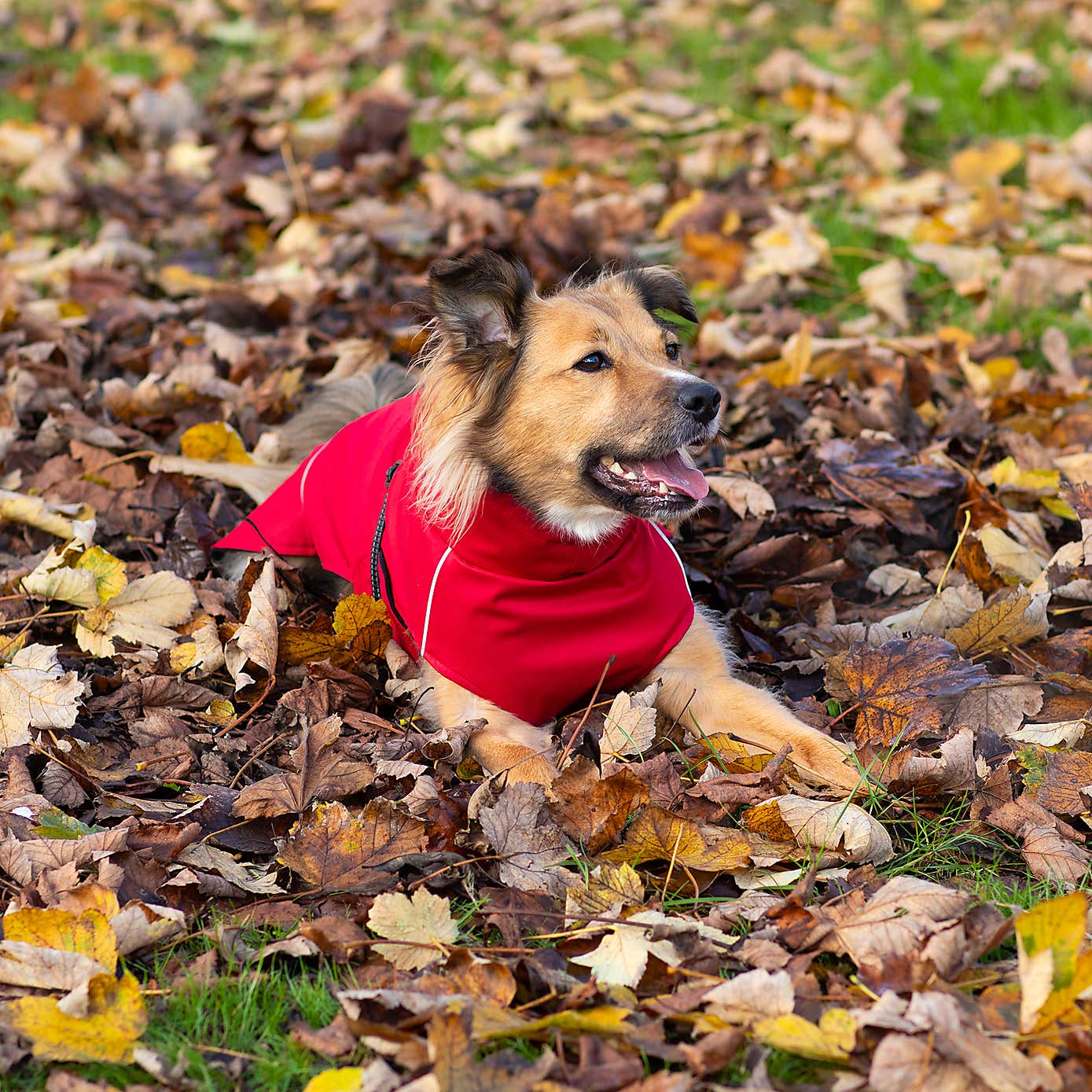 Carousel zoom image position 2 of 9
