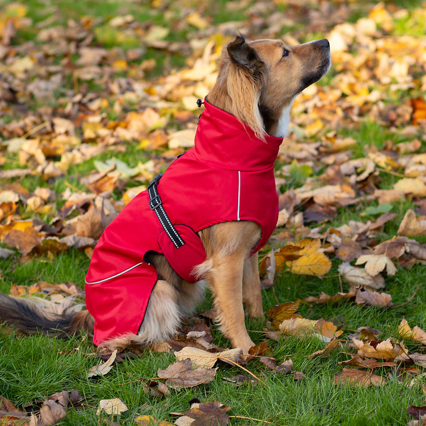 Carousel zoom image position 3 of 9