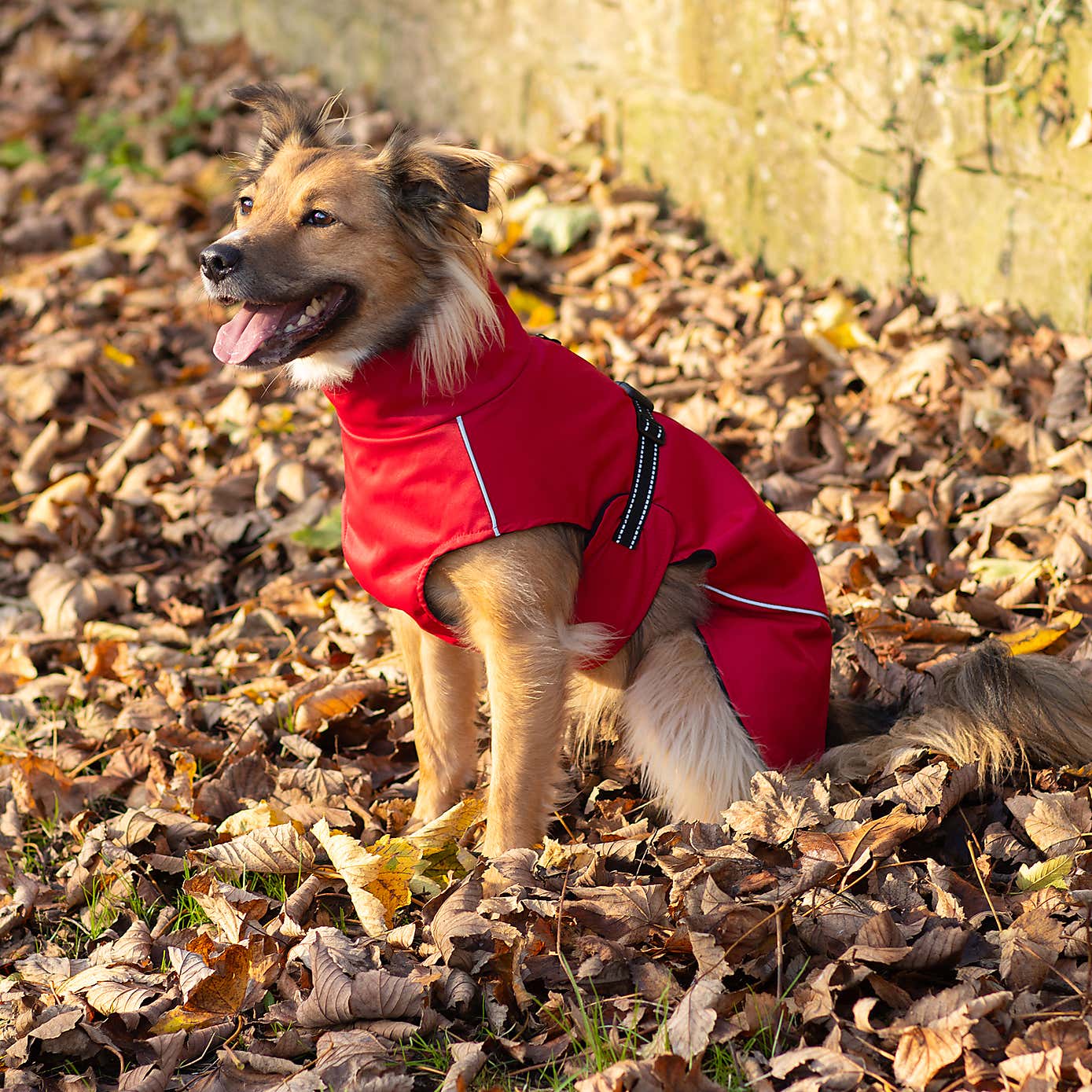 Carousel zoom image position 4 of 9