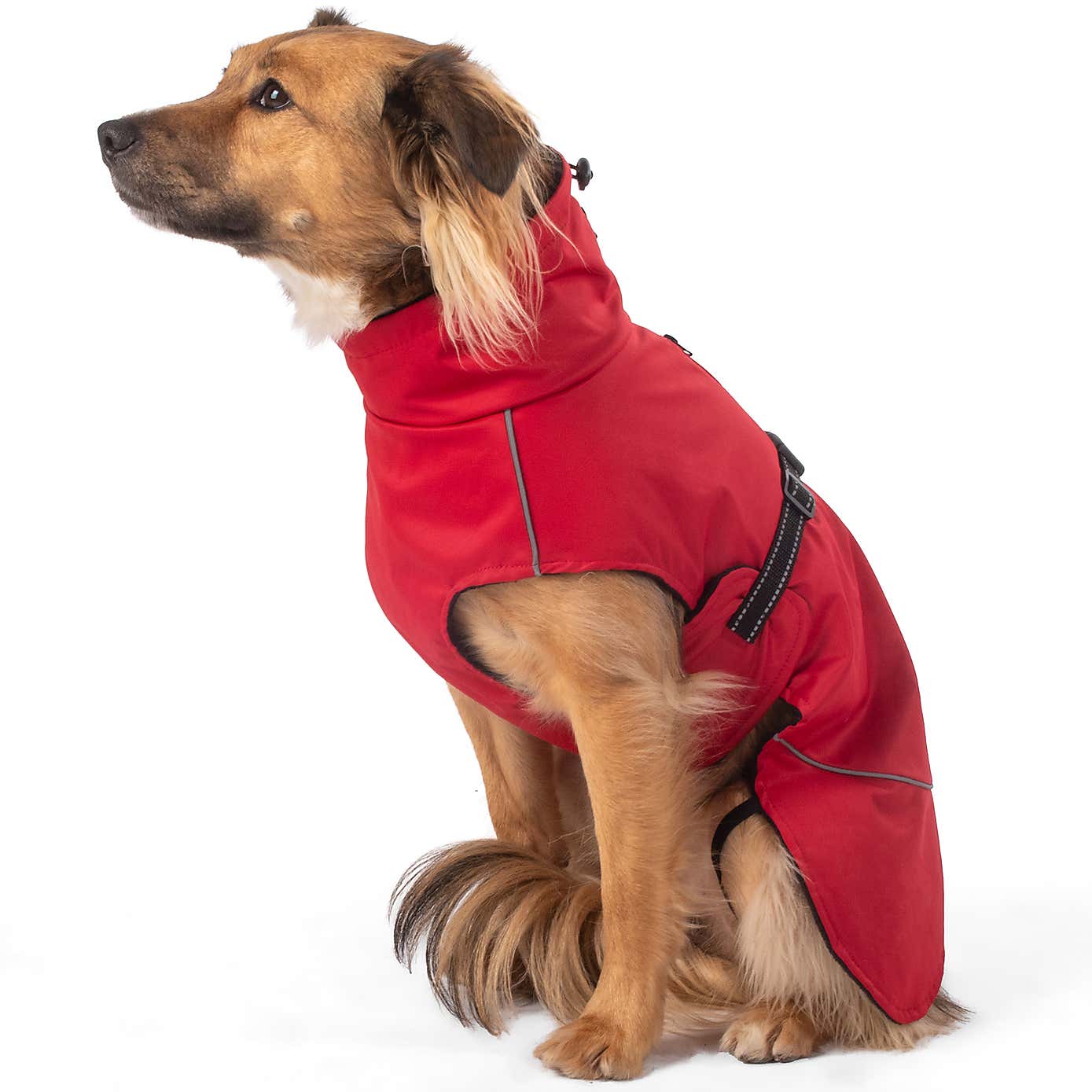 Carousel zoom image position 7 of 9