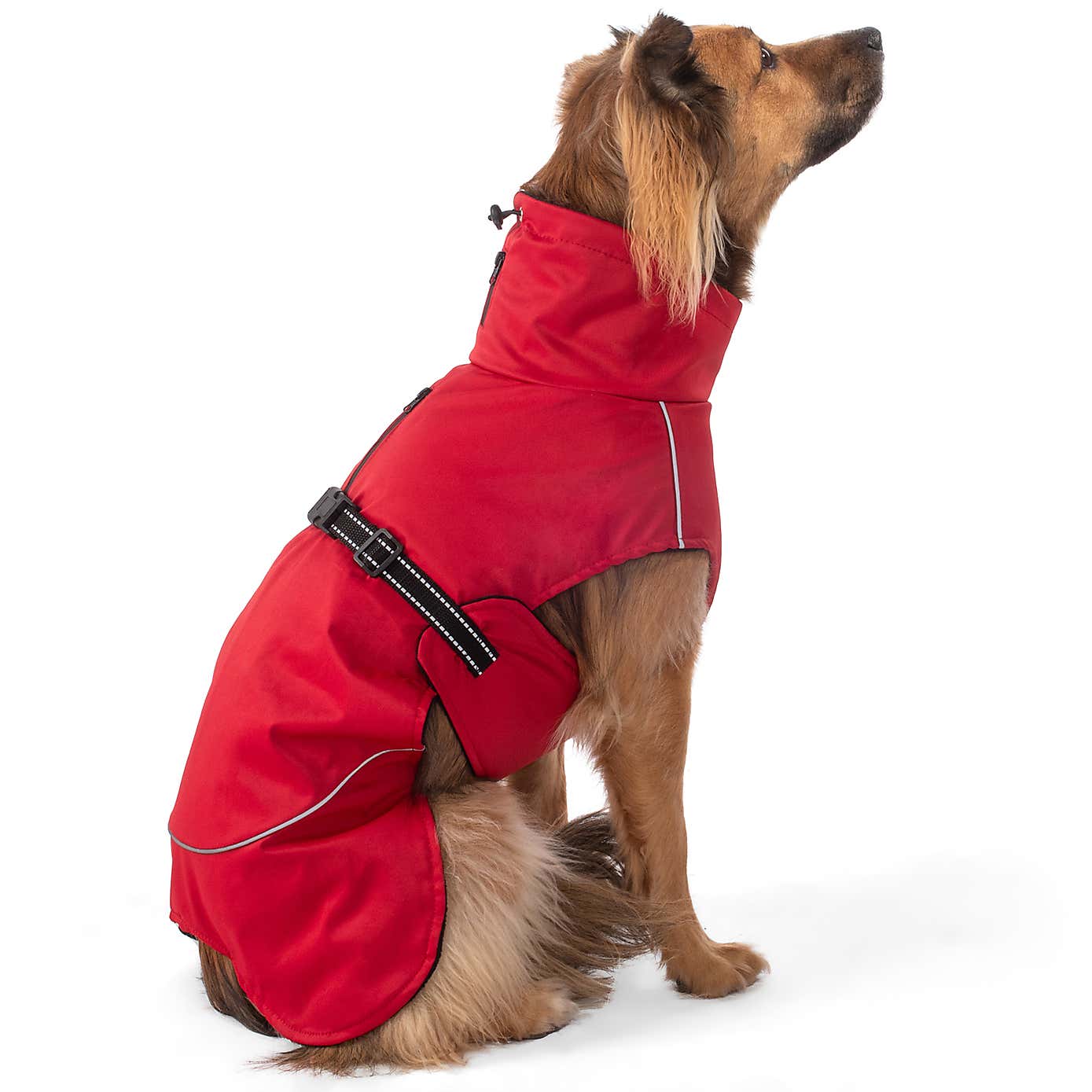 Carousel zoom image position 8 of 9