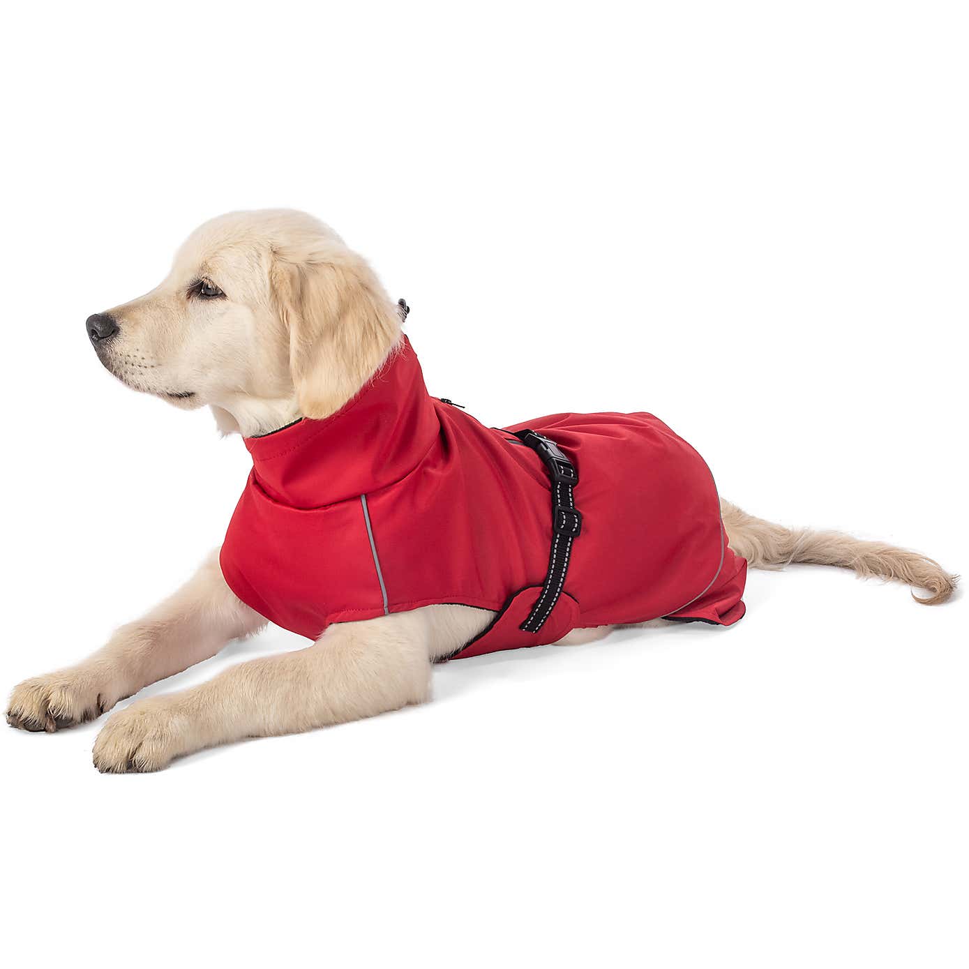 Carousel zoom image position 2 of 9